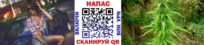 МАРИХУАНА индика  Луга 